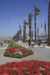 Image du Maroc Professionnelle de  La promenade d'Ain Diab près des piscines privées sur la corniche de Aïn Diab à Casablanca. Casablancais et visiteurs se dirigent vers la corniche quand la météo est favorable à la baignade. A une époque pas si lointaine plusieurs piscine’s fleurissent sur  cette corniche  toutes, plus sportives, plus élitistes les unes que les autres. Elles étaient même plus nombreuses qu’aujourd’hui certaines ont disparu comme les sables d’or, la piscine municipale Georges Orthlieb etc… Lundi  7 Juillet 2009. (Photo / Abdeljalil Bounhar)

